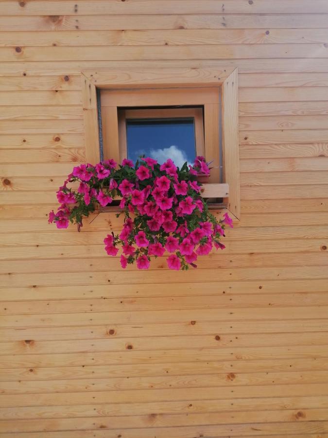 Hiska Zeleni Raj Villa Podnart ภายนอก รูปภาพ