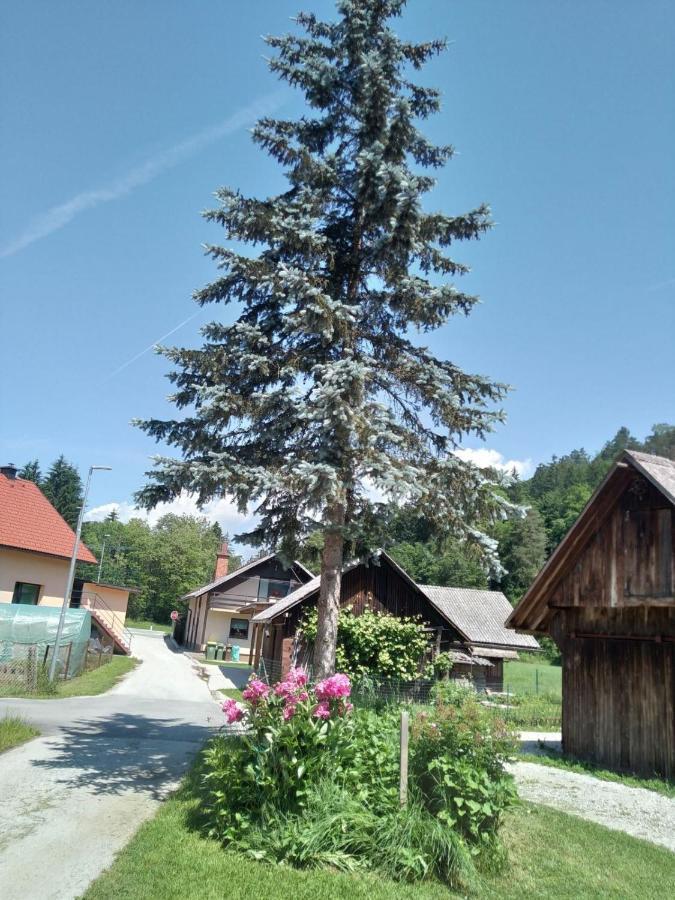 Hiska Zeleni Raj Villa Podnart ภายนอก รูปภาพ