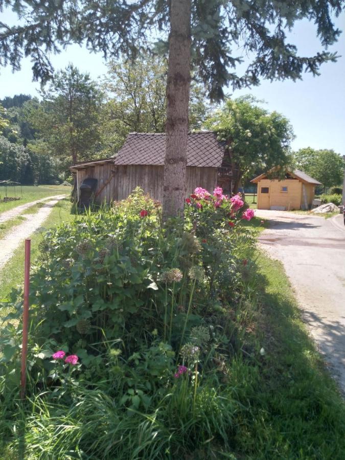 Hiska Zeleni Raj Villa Podnart ภายนอก รูปภาพ