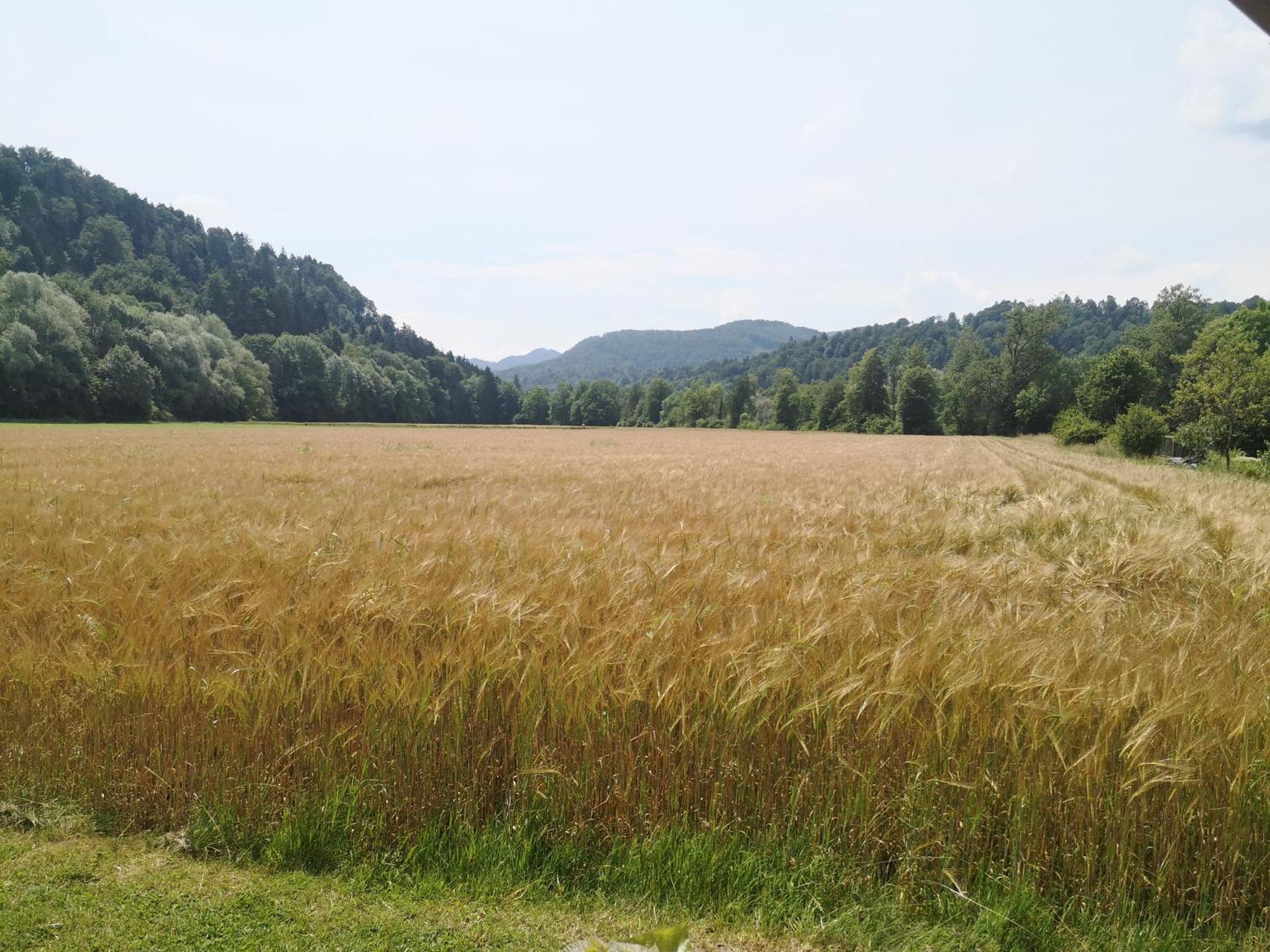 Hiska Zeleni Raj Villa Podnart ภายนอก รูปภาพ
